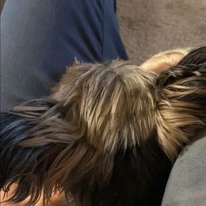 Meet your Posher, Andrew